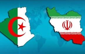 رئيس جبهة الجزائر الجديدة: يجب التصدي لمراهقي السياسة السعودية