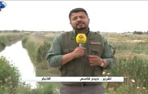 ويدئوي العالم؛ نیروهای عراقی پشت ديوارهاي فلوجه