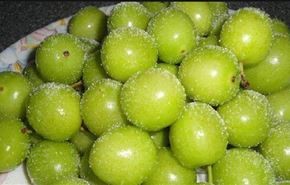 نوبرانه ای با خواص شگفت انگیز