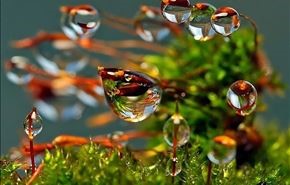 تصاویری زیبا از هنر عکاسی
