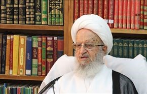 مكارم شيرازي: لدينا مشروع للحج لا يتعارض مع سيادة السعوديين