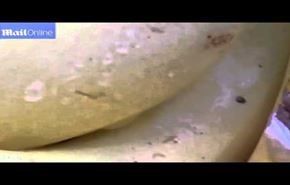 بالفيديو: شاهد ماذا عثر الرجل بين ثمار الموز؟