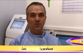 بكتيريا تساعد في تجنب الاصابة بفيروس زيكا