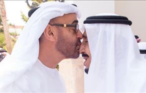 مجلس أعلى للتنسيق بين السعودية والإمارات .. ما الهدف منه؟