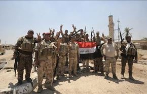 بالصور.. الكرمة تخلع رايات 