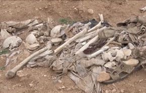 کشف گورجمعی با 400 جسد نزدیک فلوجه
