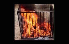 داعش، 19 دخترِ کُرد را در قفس سوزاند