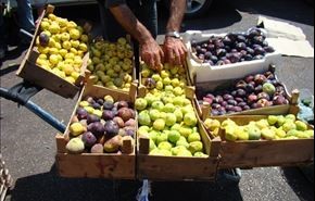 أهم فوائد التين العجيبة لجسم الانسان، تعرف عليها!