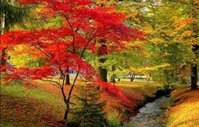 تصاویری بسیار زیبا و دیدنی از دل طبیعت