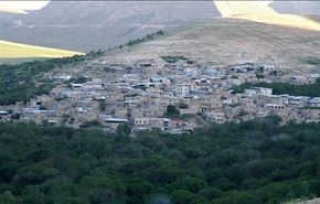 بالفيديو.. 