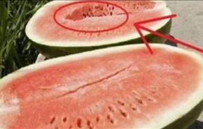 يجب أن لا تأكلوا البطيخ الأحمر في هذه الحالة!
