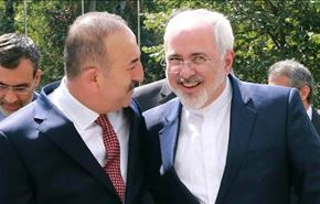بیداری ظریف در شب کودتای ترکیه و خواب عمیق همتایان عرب!