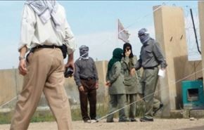 جزئیات شبکه عناصر منافقین در عراق/شبکه مشترک داعش و نفاق