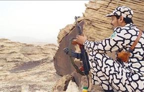 بالصور.. 