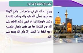 فضل زيارة الإمام الرضا(ع)