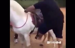 بالفيديو.. نهاية سمين أراد ركوب الخيل