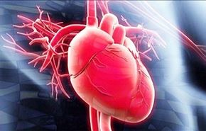 واقعیت هایی که ممکن است از قلب و خون ندانید