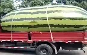 بالفيديو، لقطات 