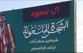 لهذا السبب،وصف قائد الثورة آل سعود بـ