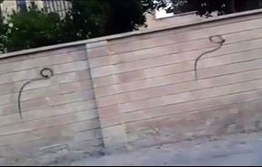 چرا داعش از حرف 