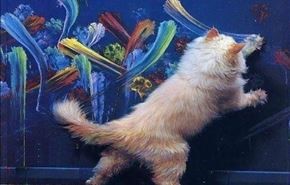 شکار لحظه‌ها در دنیای حیوانات