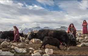 عکس‌های جالب از روستای دور افتاده در افغانستان