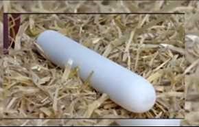 تخم مرغ استوانه ای از افسانه تا واقعیت+ویدیو