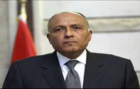 سامح شكري يتحدث عن الدور المصري في حل الأزمة السورية