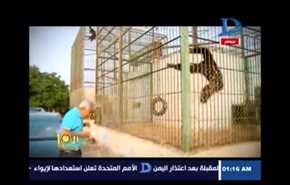 بالفيديو.. قرد يعبر عن غضبه بضرب إعلامي مصري!