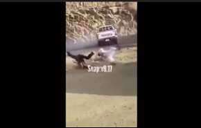 بالفيديو... لحظة دهس مفحط للمتجمهرين في السعودية