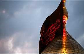 صور من كربلاء في ذكرى الأربعين الحسيني