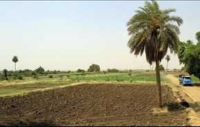 سودان به عربستان زمین مجانی می دهد!