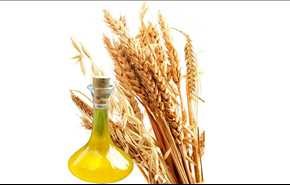 فواید شگفت انگیر روغن جوانه گندم