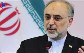 صالحی: ۱۴۹ تن کیک زرد وارد کشور شد
