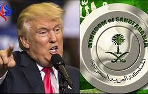الكاوبوي والبقرة الخليجية
