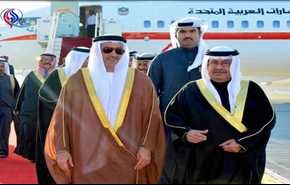 بن زايد يتفقد قواته التي تتولى قمع شعب البحرين