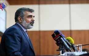 توضیحات کمالوندی درباره تولید سوخت نیروگاهی