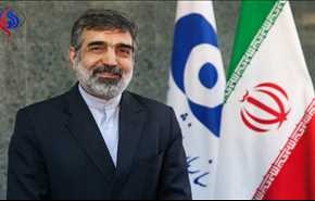 کمالوندی: طرح اولیه بازطراحی رآکتور اراک مورد تائید چینی‌ها قرار گرفت