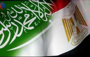 دیدار سیسی و سلمان برای پایان دادن به تنش ها