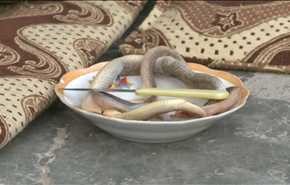 نصيحة مريضة بالسرطان.. 