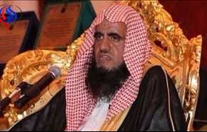 داعية وهابي سعودي يلصق تهمة الزنا بطائر اللقلق