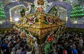 حرم امام علی (ع) در شب میلاد | تصاویر