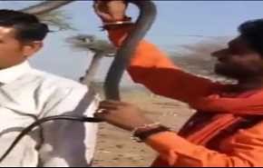شاهد 
