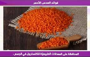 فوائد العدس الأحمر