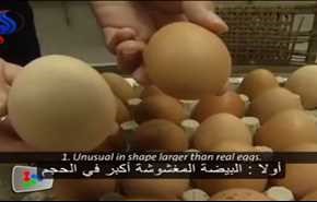احذرو البيض المغشوش .. شاهد كيف تفرق بين البيض الصيني والطبيعي!