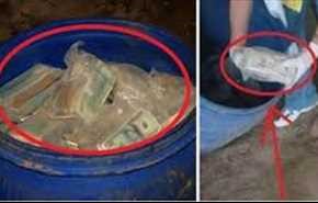 بالصور.. رجل يعثر على 600 مليون دولار مدفونة في أرضه!