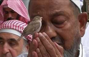 من هو صاحب هذه الصورة التي أشعلت مواقع التواصل؟