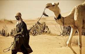 بالفيديو.. لحظة إنقاذ راعي إبل قبل موته عطشا بالصحراء