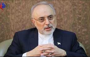 صالحی پیشنهادهای دریافتی از اتحادیه اروپا برای انتظارات ایران درباره برجام را کافی ندانست