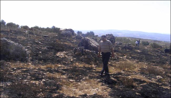 المستوطنون يضرمون النار في حقول الفلسطينيين
